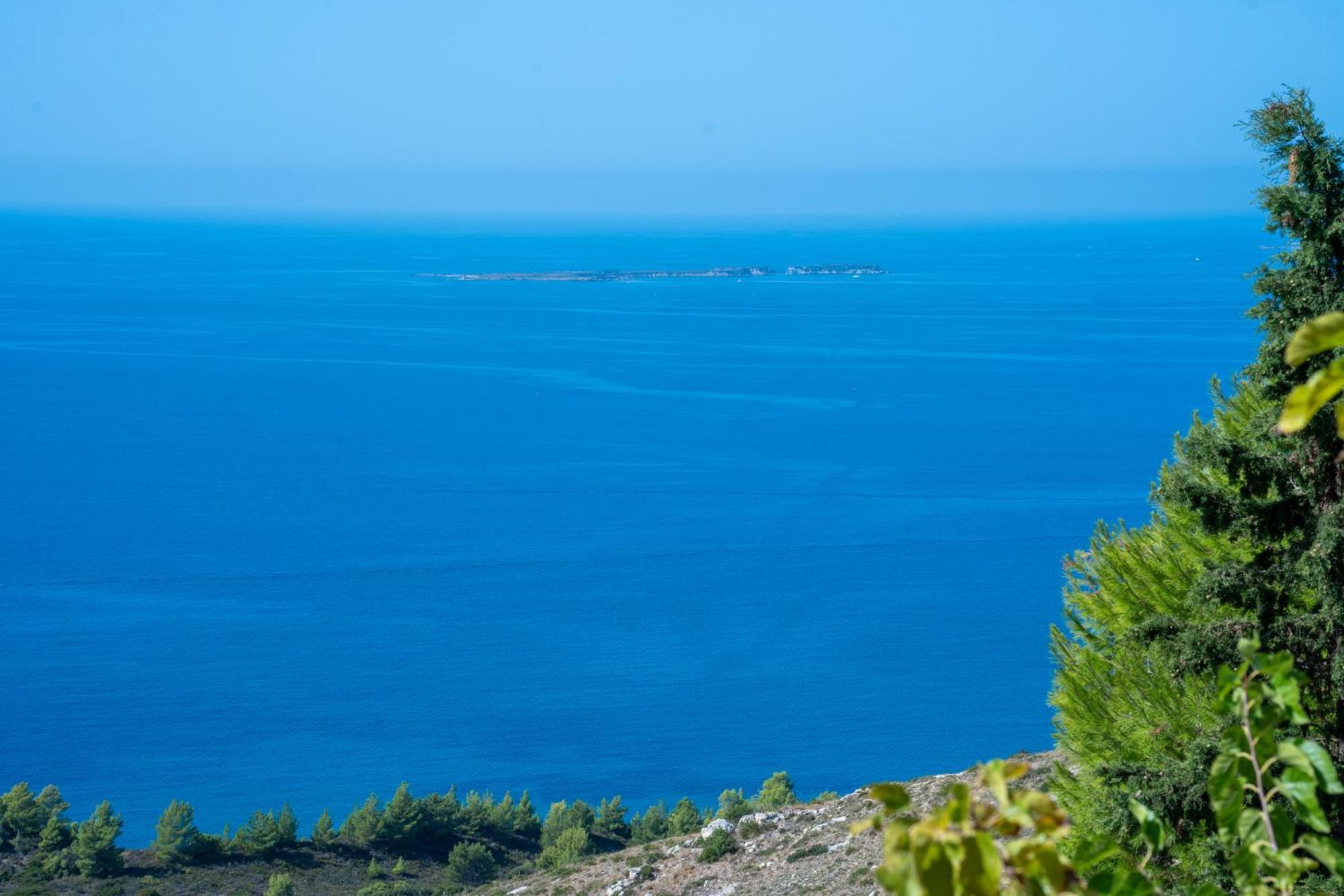 Apartment Rania-apartments 2 Argostoli (Kefalonia)